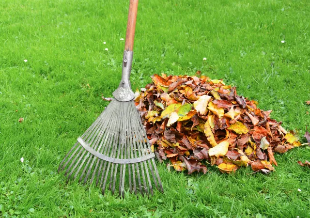 Arbeitseinsatz am 1. November