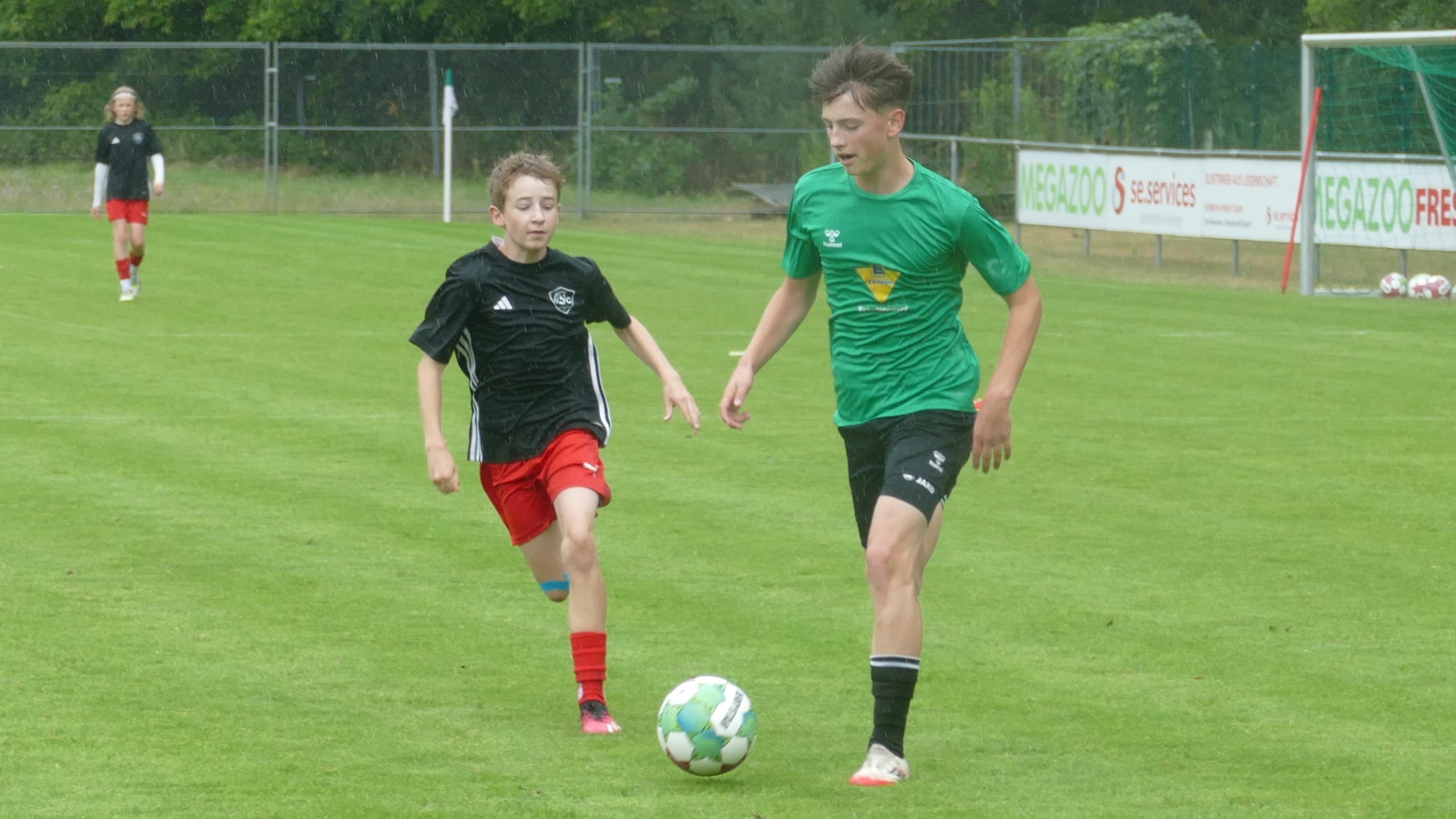 Bild 52