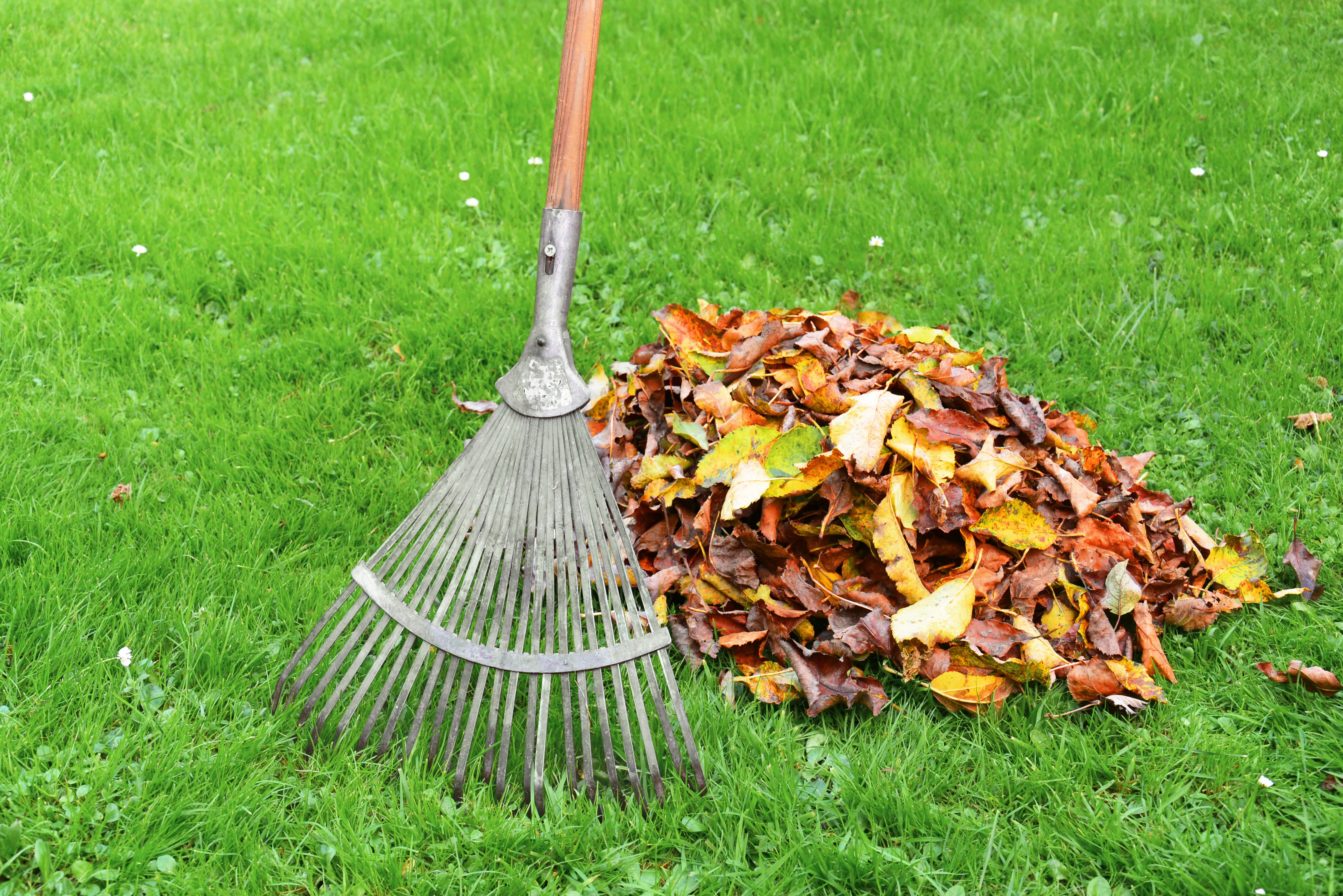 Arbeitseinsatz am 1. November