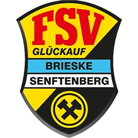 FSV Brieske Senftenberg Minilogo